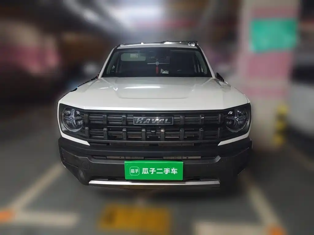 Haval Cool Dog — миниатюра 24