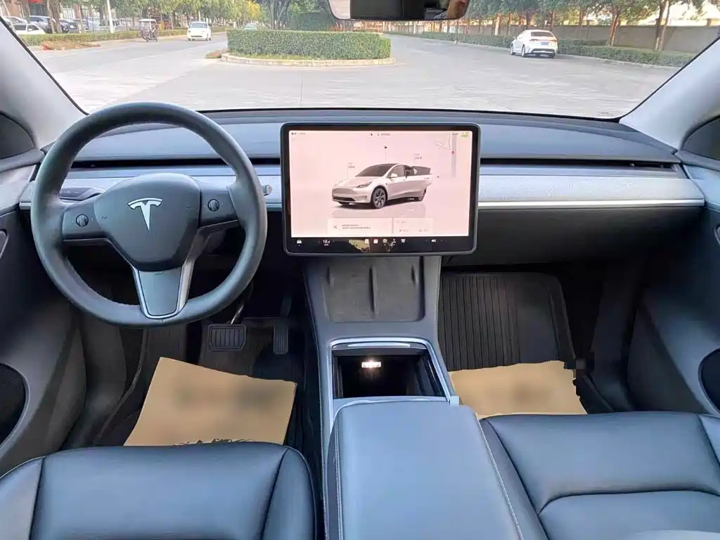 Tesla Model Y — миниатюра 10