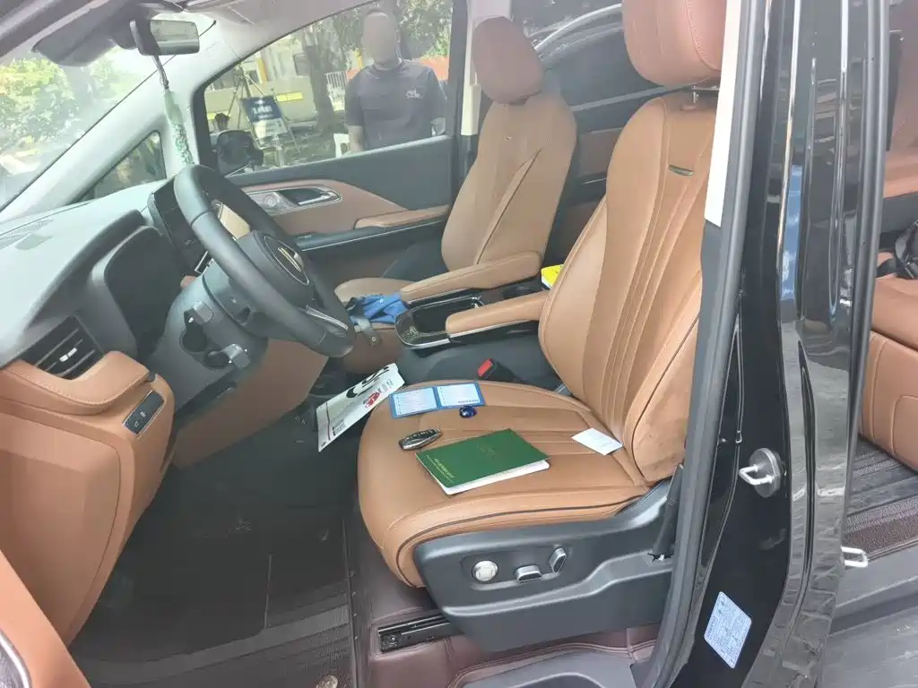 Hongqi Hongqi HQ9 — миниатюра 11
