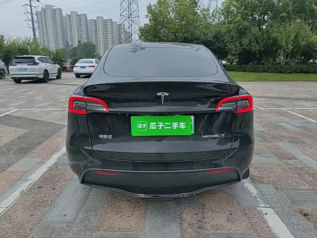 Tesla Model Y — миниатюра 6
