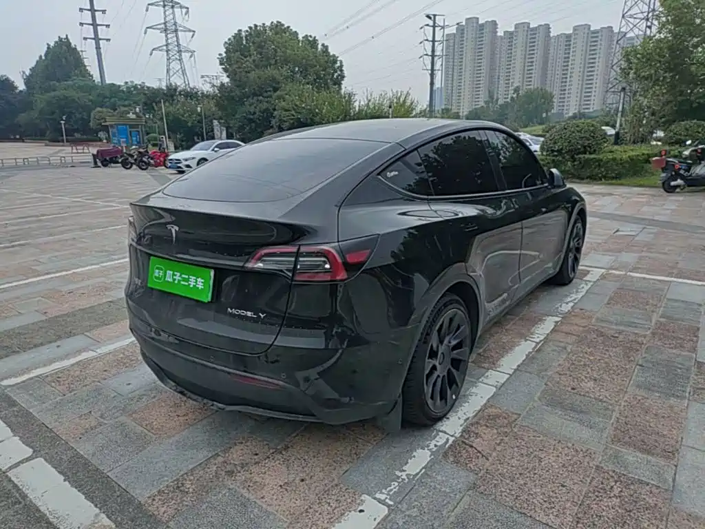 Tesla Model Y — миниатюра 7