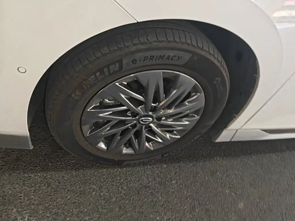 GAC Motor Trumpchi Xiangwang M8 — миниатюра 23