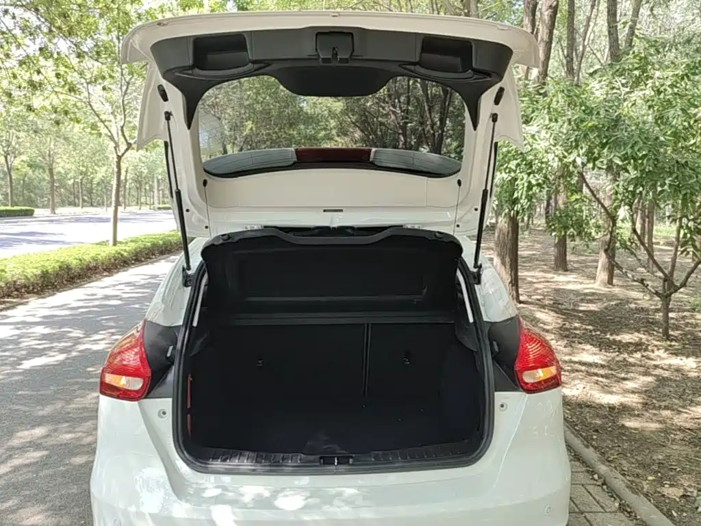 Ford Focus — миниатюра 19
