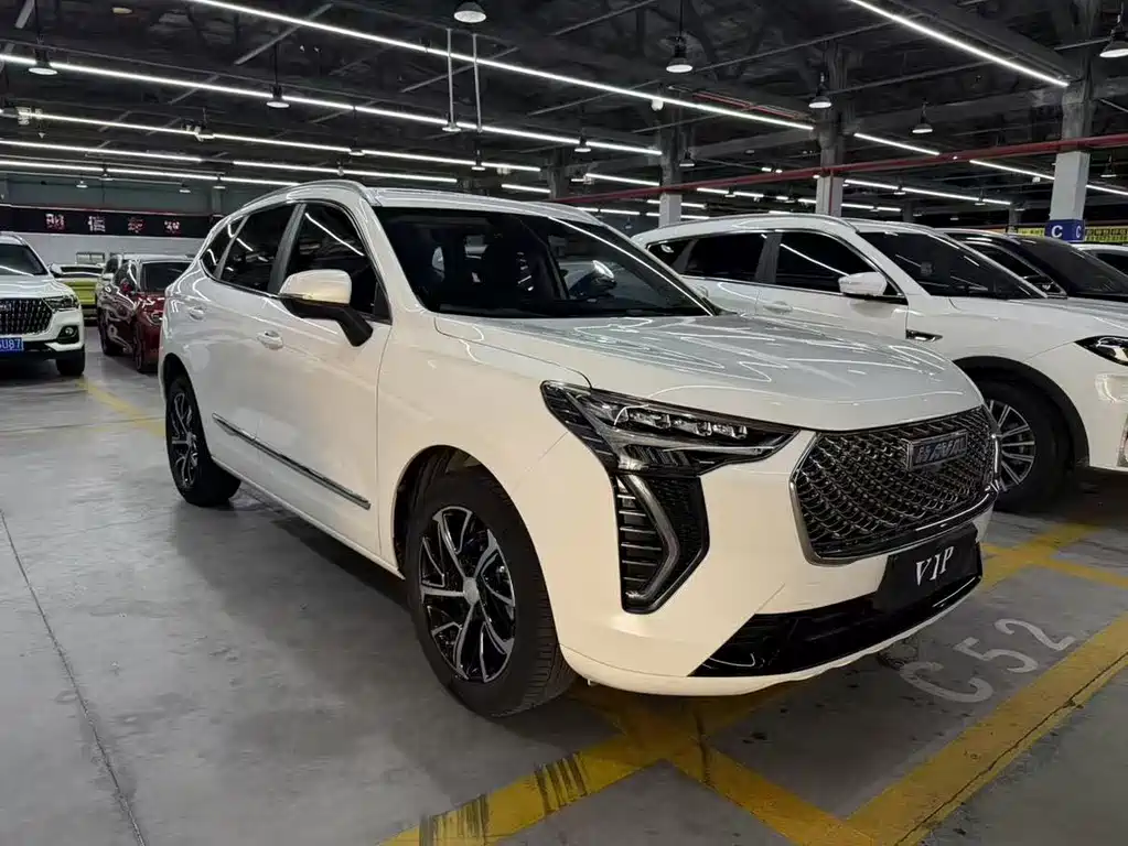 Haval Chulian — миниатюра 3