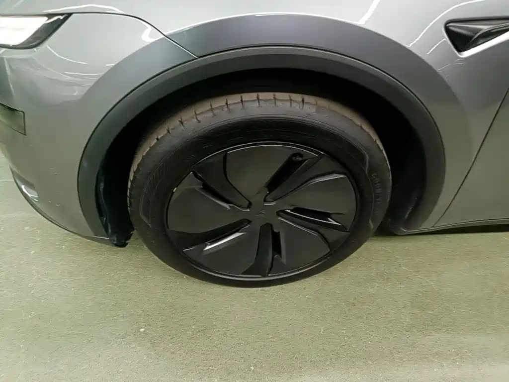 Tesla Model Y — миниатюра 23