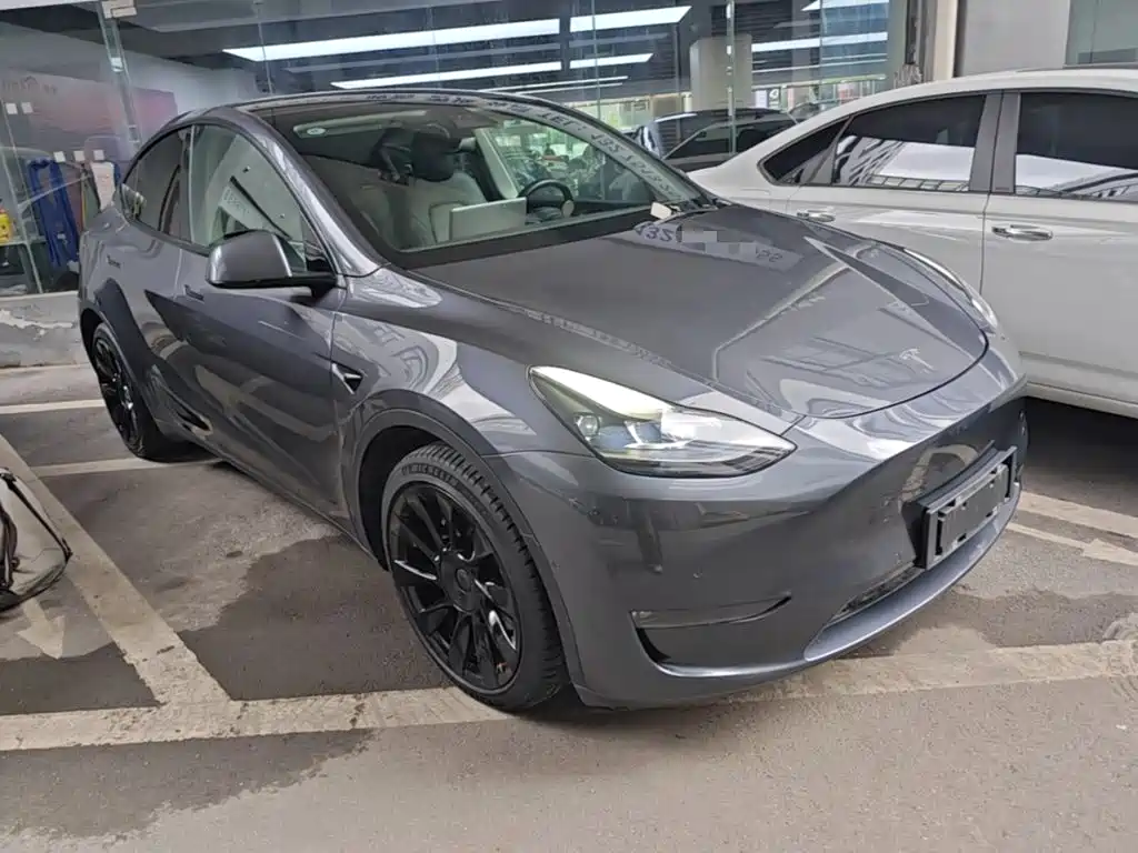 Tesla Model Y — миниатюра 4