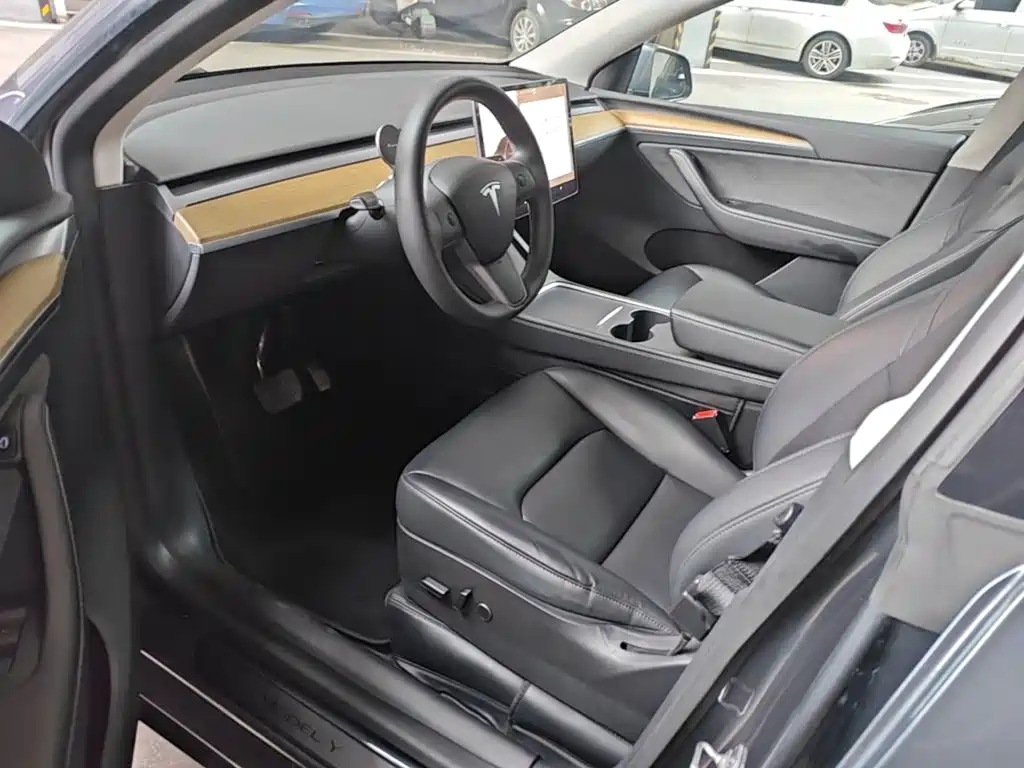Tesla Model Y — миниатюра 15