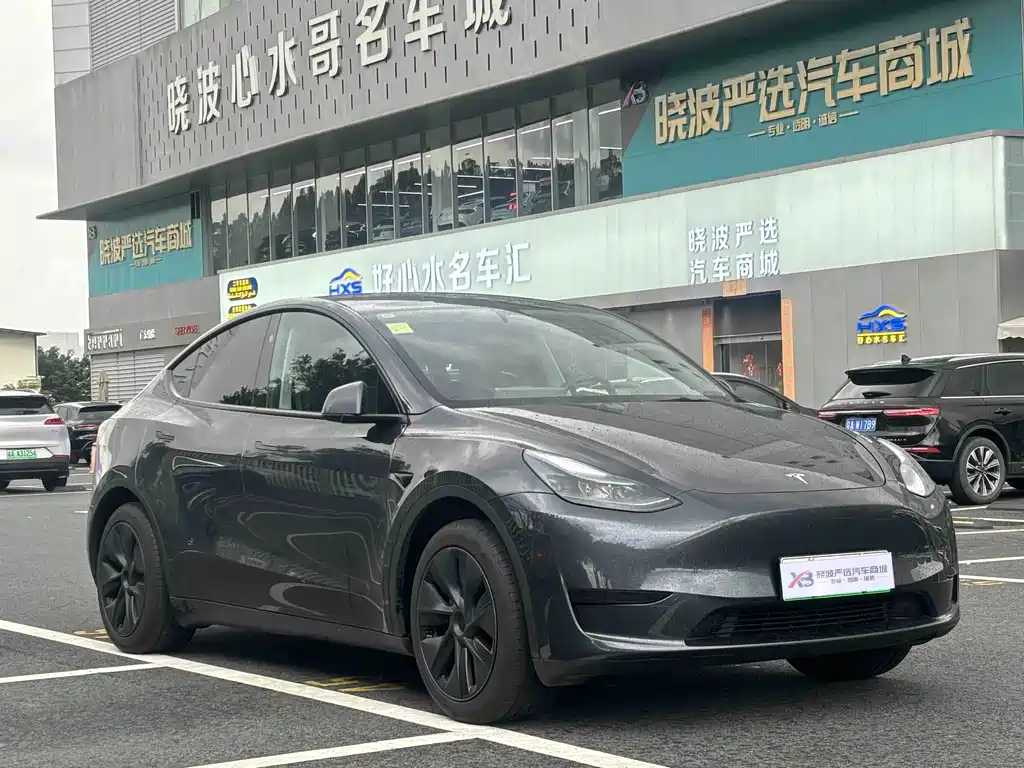 Tesla Model Y — миниатюра 3