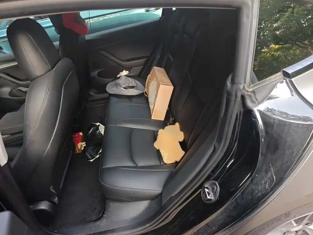 Tesla Model 3 — миниатюра 15