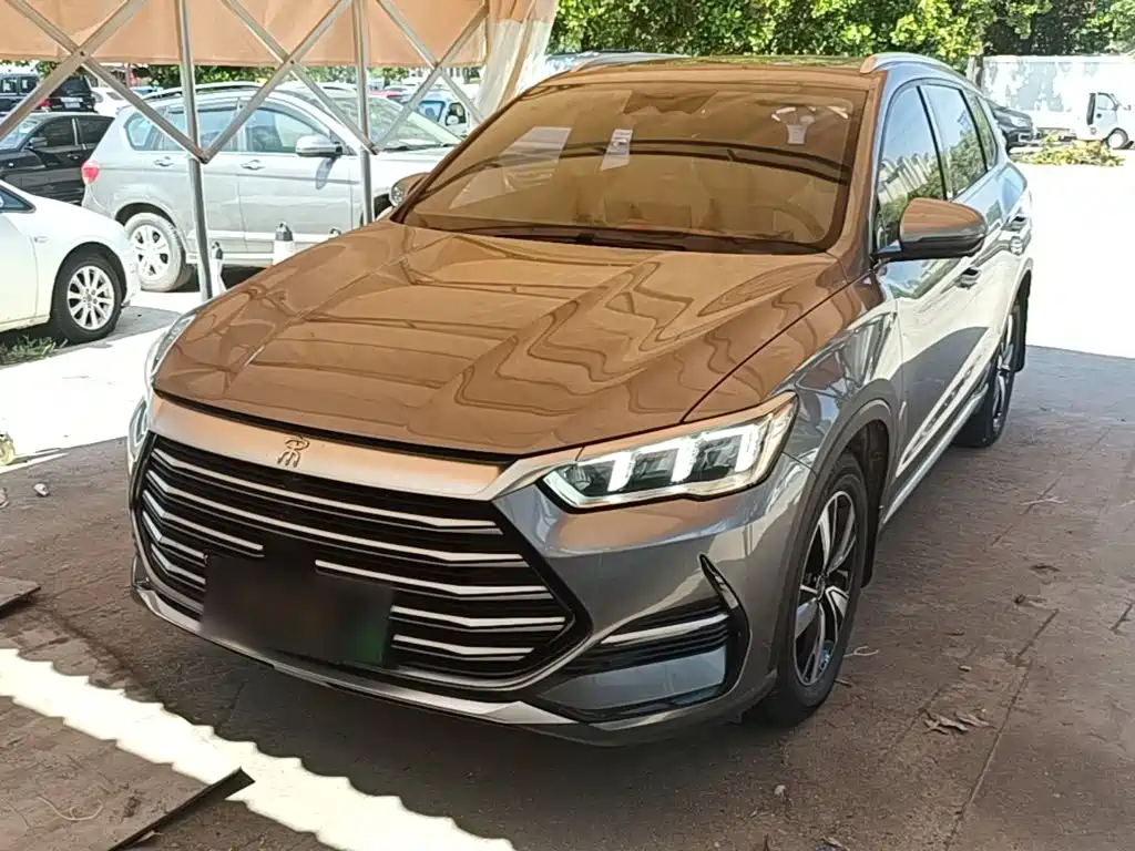 BYD Pro New Energy
