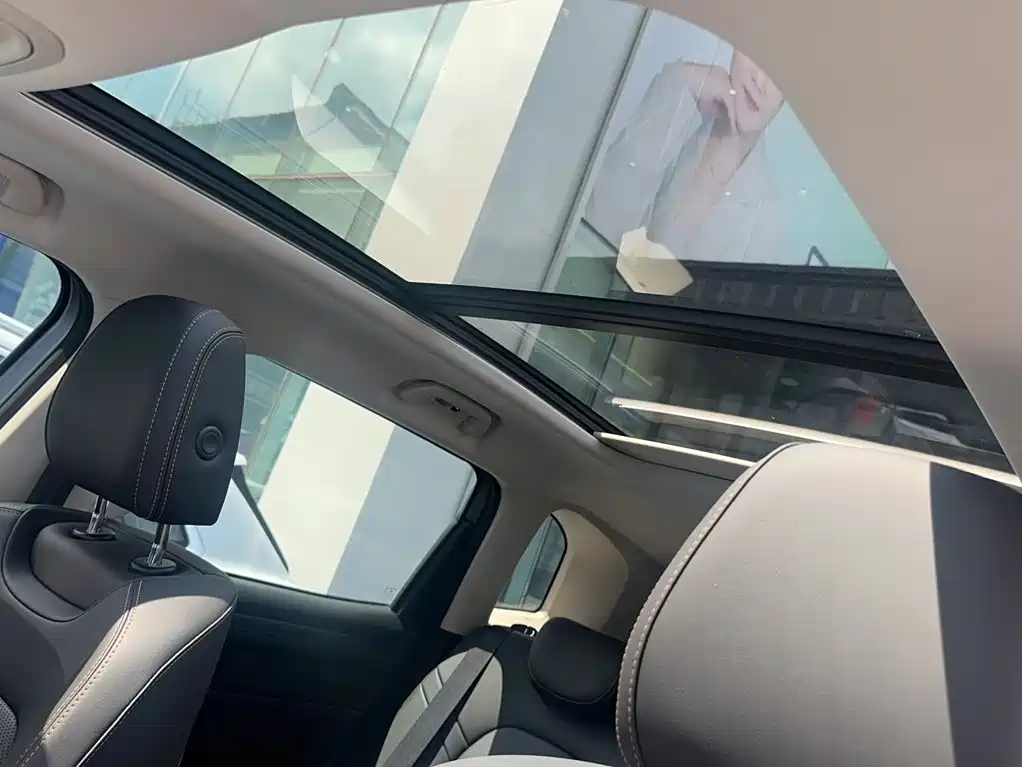 Haval Big Dog — миниатюра 14