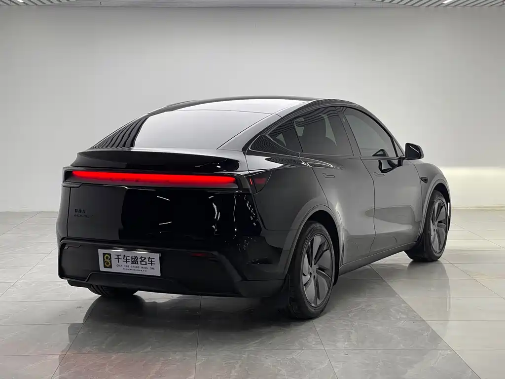 Tesla Model Y — миниатюра 6