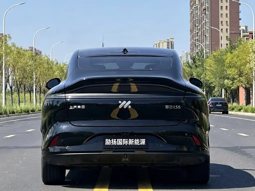 IM IM LS6 — миниатюра 8