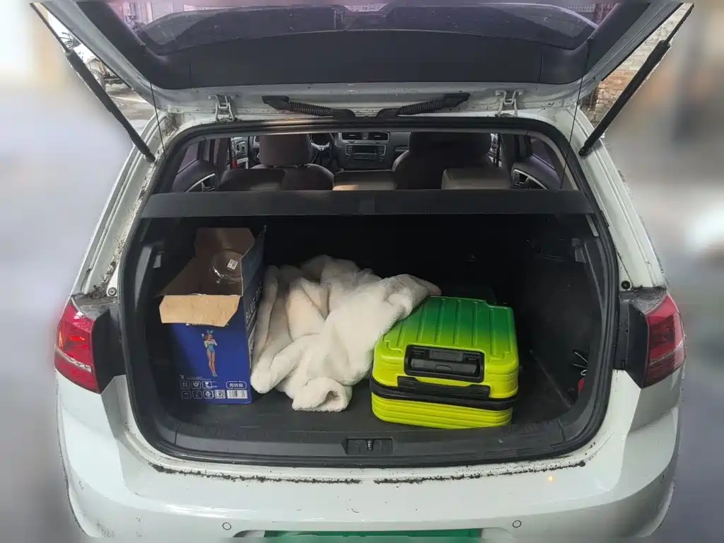 Volkswagen Golf — миниатюра 15