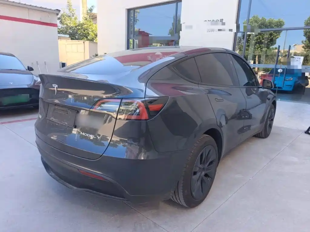 Tesla Model Y — миниатюра 7