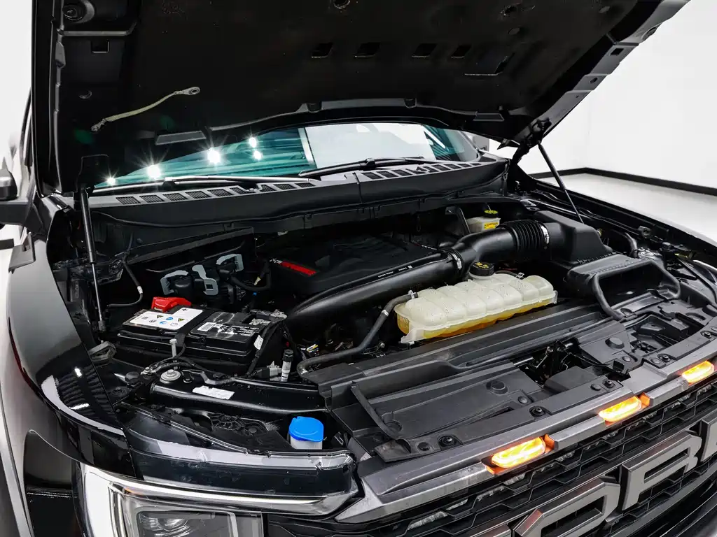 Ford F-150 Raptor — миниатюра 22
