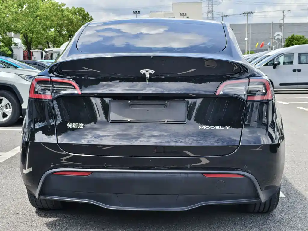 Tesla Model Y — миниатюра 13