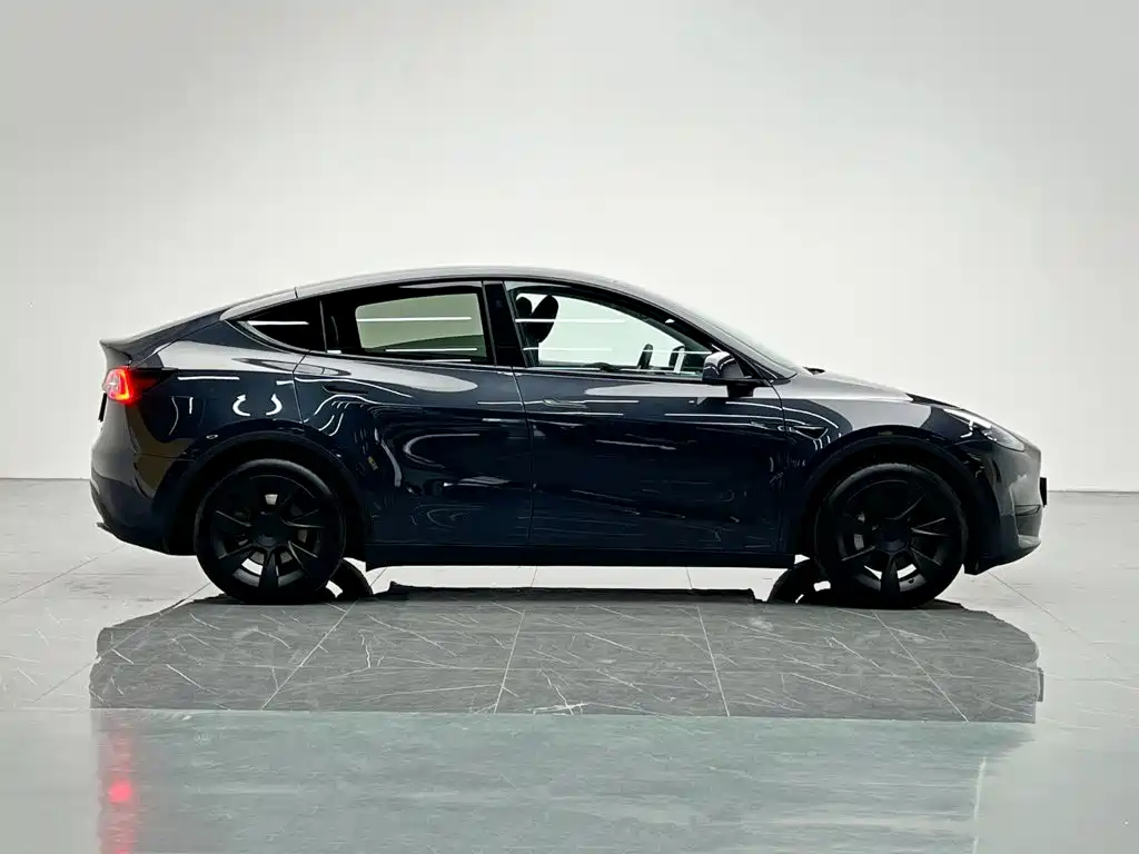 Tesla Model Y — миниатюра 7