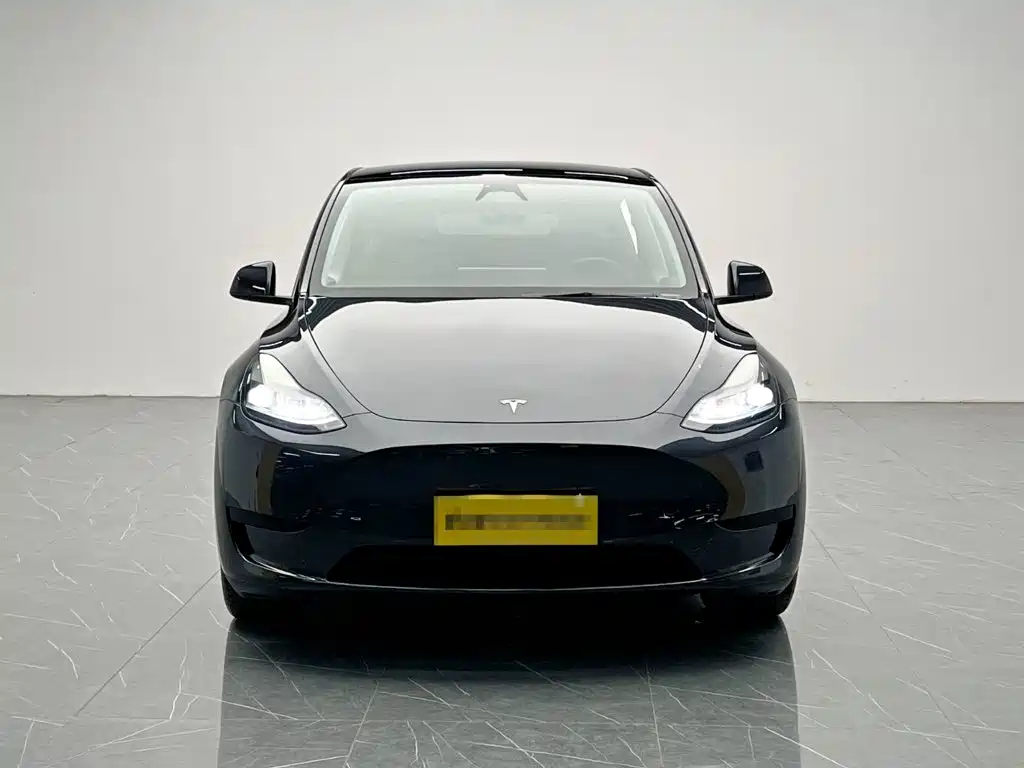 Tesla Model Y — миниатюра 2
