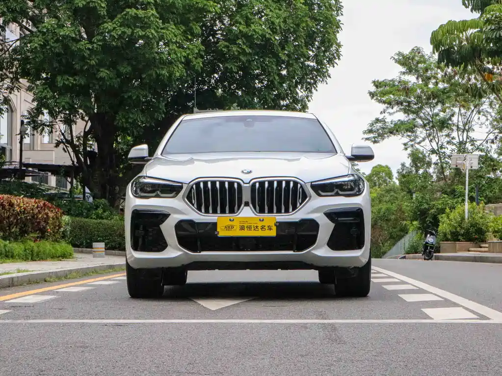 BMW X6 2021 xDrive30i M Sport