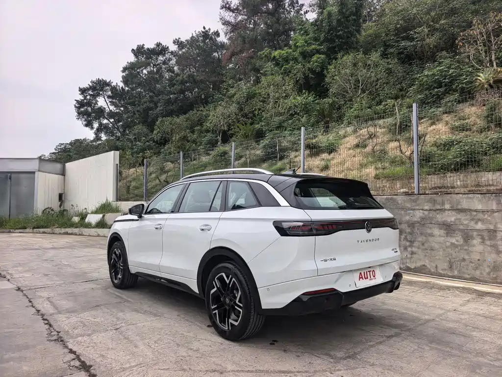 Volkswagen Tavendor — миниатюра 5