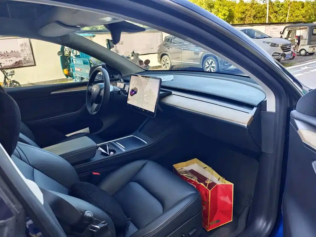 Tesla Model Y — миниатюра 7
