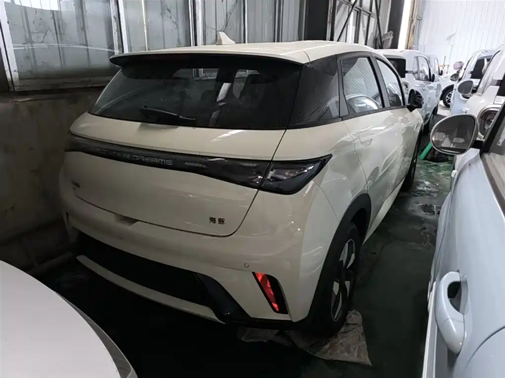 BYD Dolphin 2025 420km Freedom