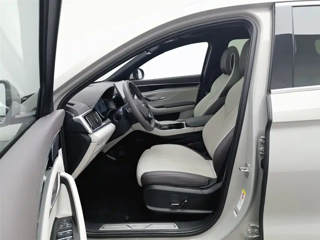 BYD SONGJIANG NEW ENERGY