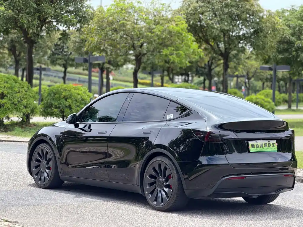 Tesla Model Y — миниатюра 4