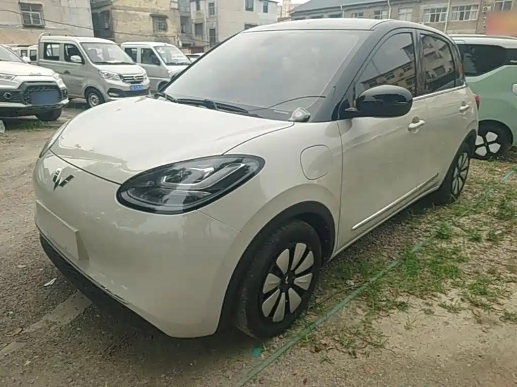 Wuling Binguo 2023 410km Premium