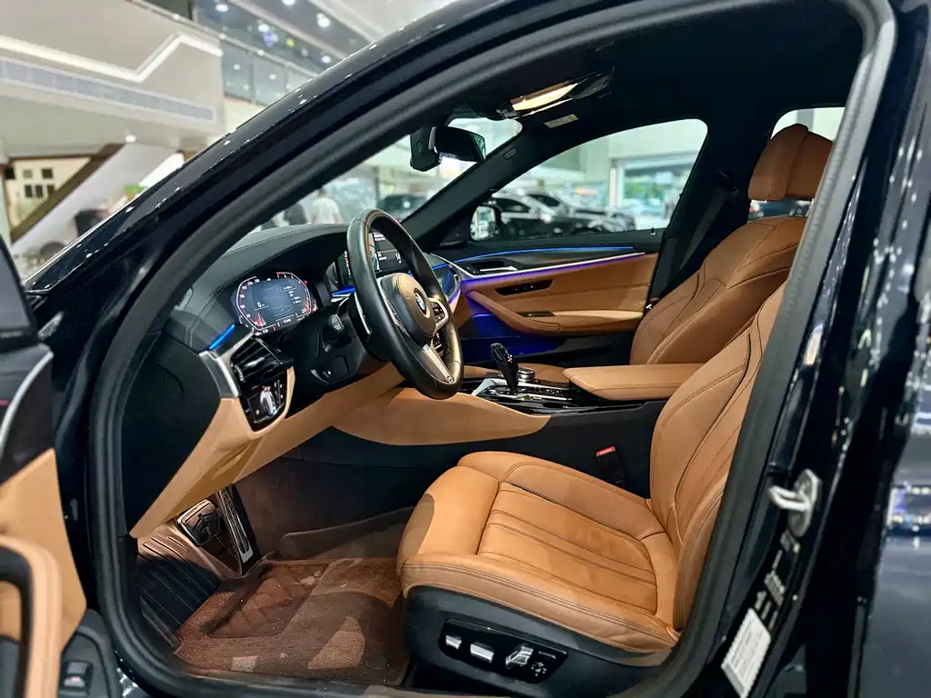 BMW 5 Series (Import) — миниатюра 5