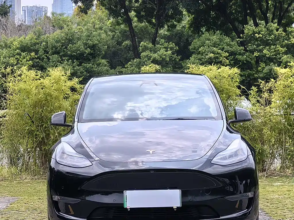 Tesla Model Y — миниатюра 3