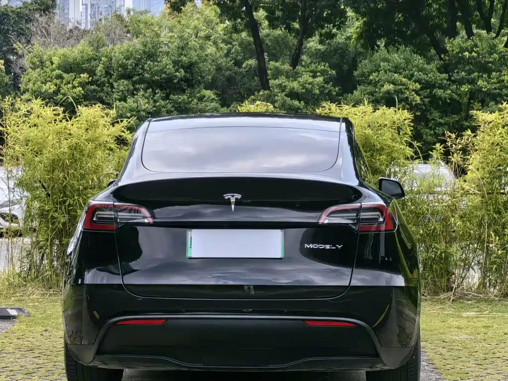 Tesla Model Y — миниатюра 10