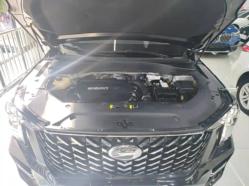 GAC Motor Trumpchi GS8 — миниатюра 20