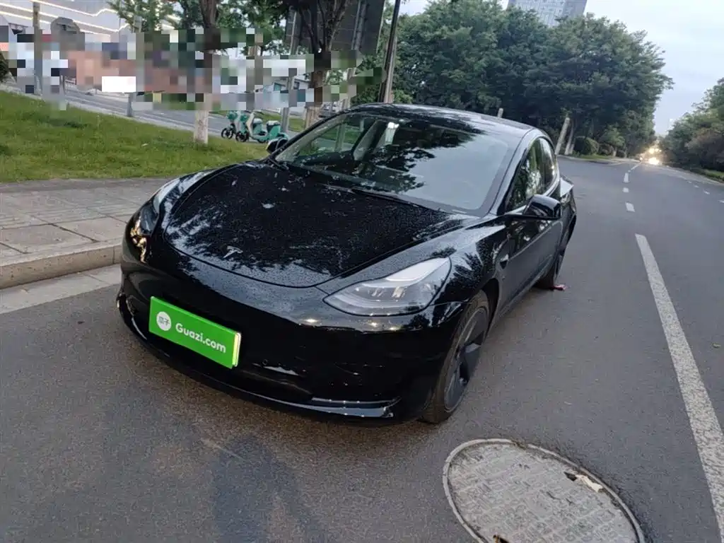 Tesla Model 3 2022