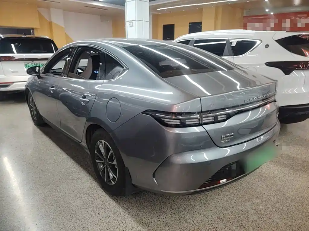 BYD Destroyer 05 2023 Champion DM-i 55KM Luxury