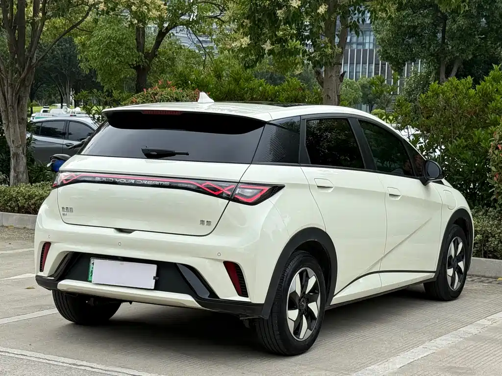 BYD Dolphin 2025 420km Fashion
