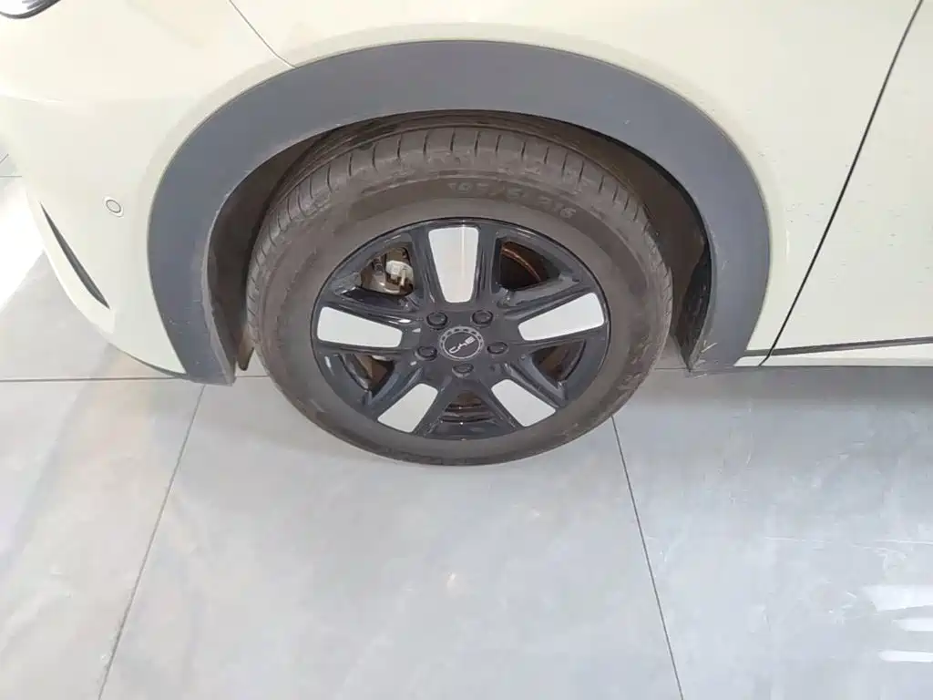 BYD Dolphin — миниатюра 23
