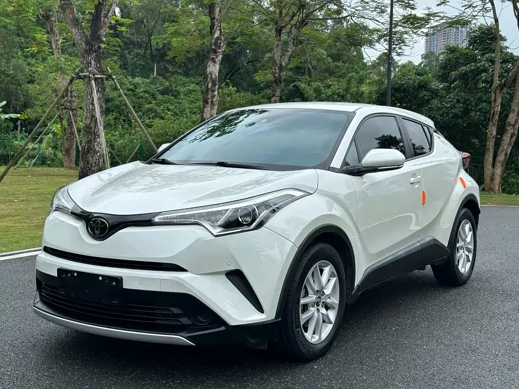 Toyota IZOA 2019
