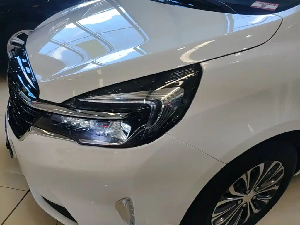 Buick GL8 — миниатюра 24