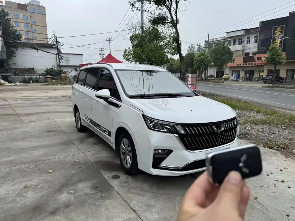 Wuling Jiachen — миниатюра 3