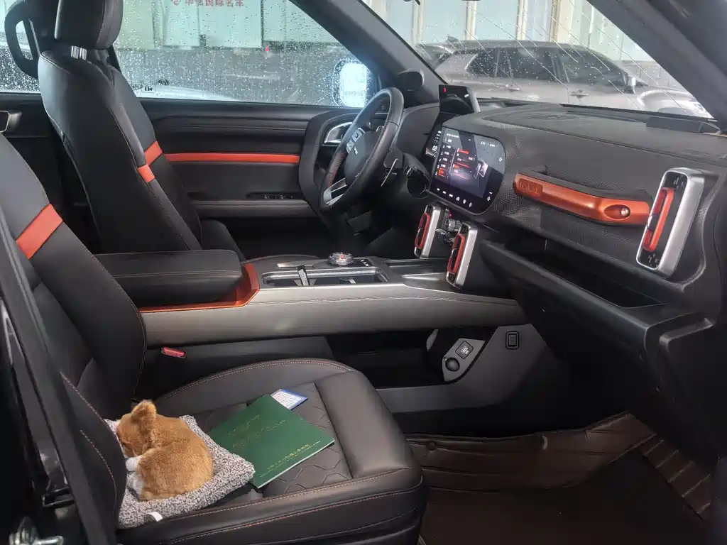 Haval Dargo 1.5T DCT Border Collie Edition, фото 10