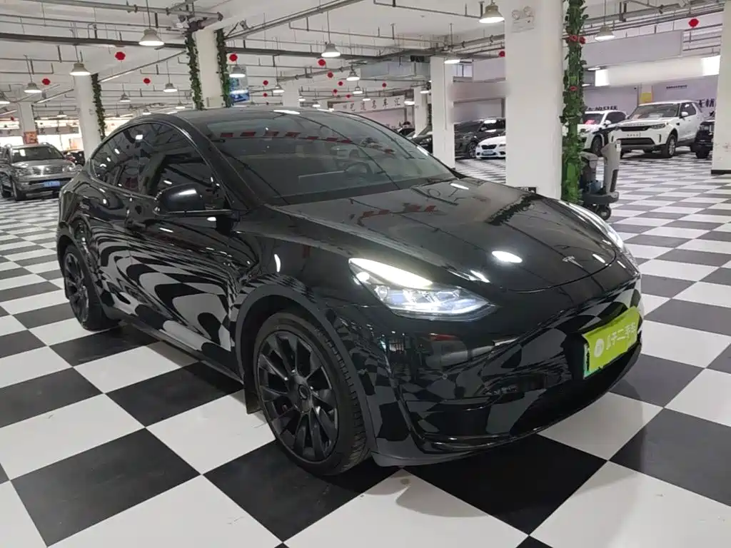 Tesla Model Y — миниатюра 4