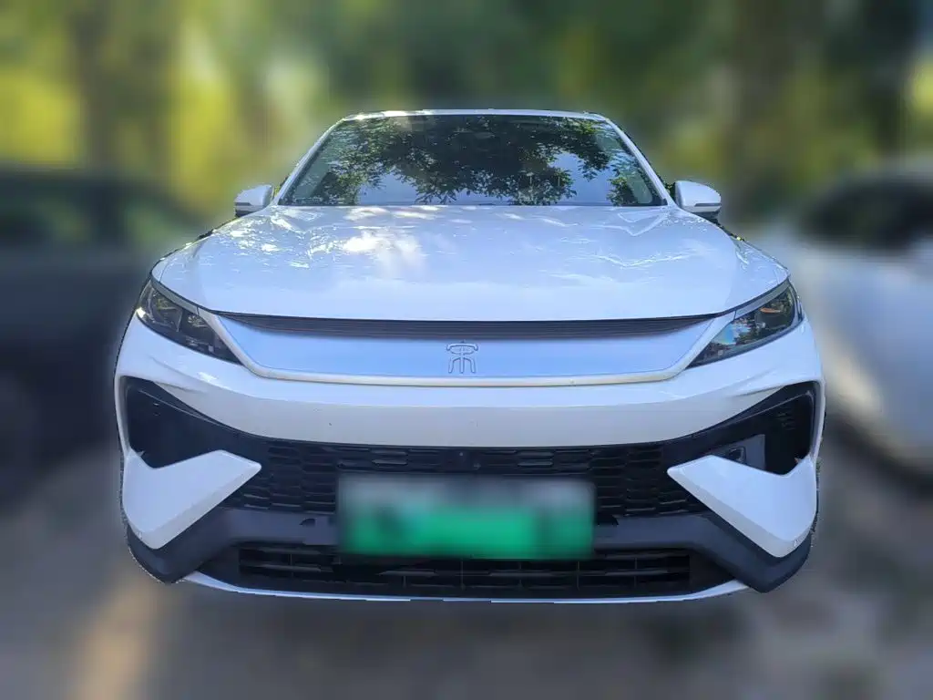 BYD Pro New Energy — миниатюра 2