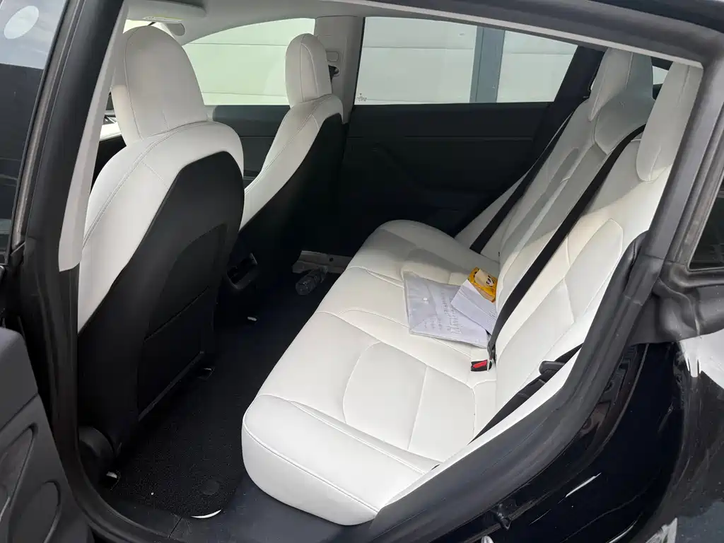 Tesla Model 3 — миниатюра 5