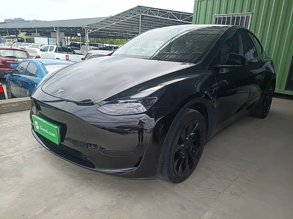 Tesla Model Y — миниатюра 2