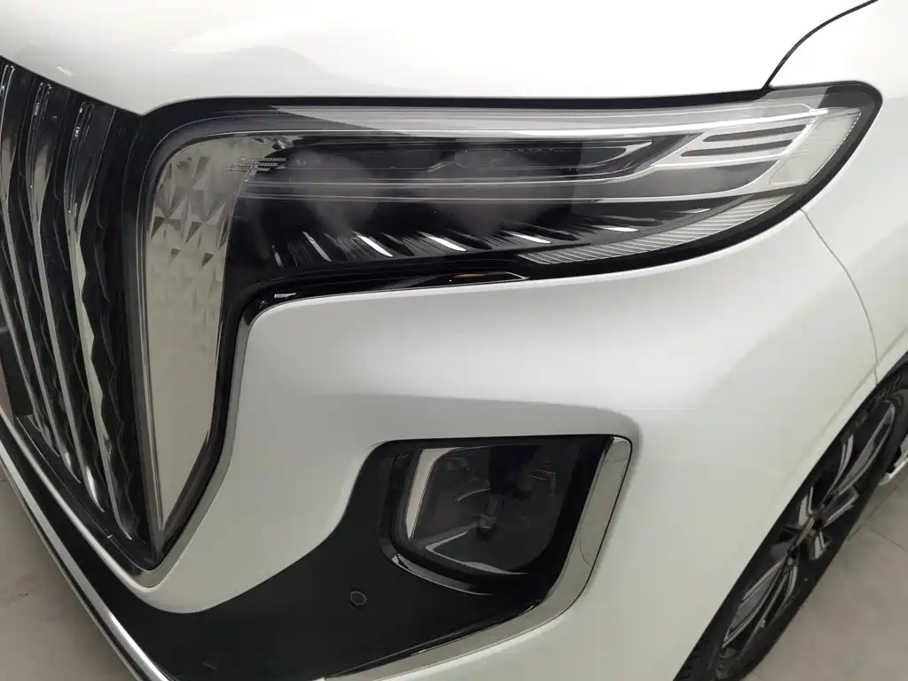 Hongqi Hongqi HQ9 — миниатюра 7