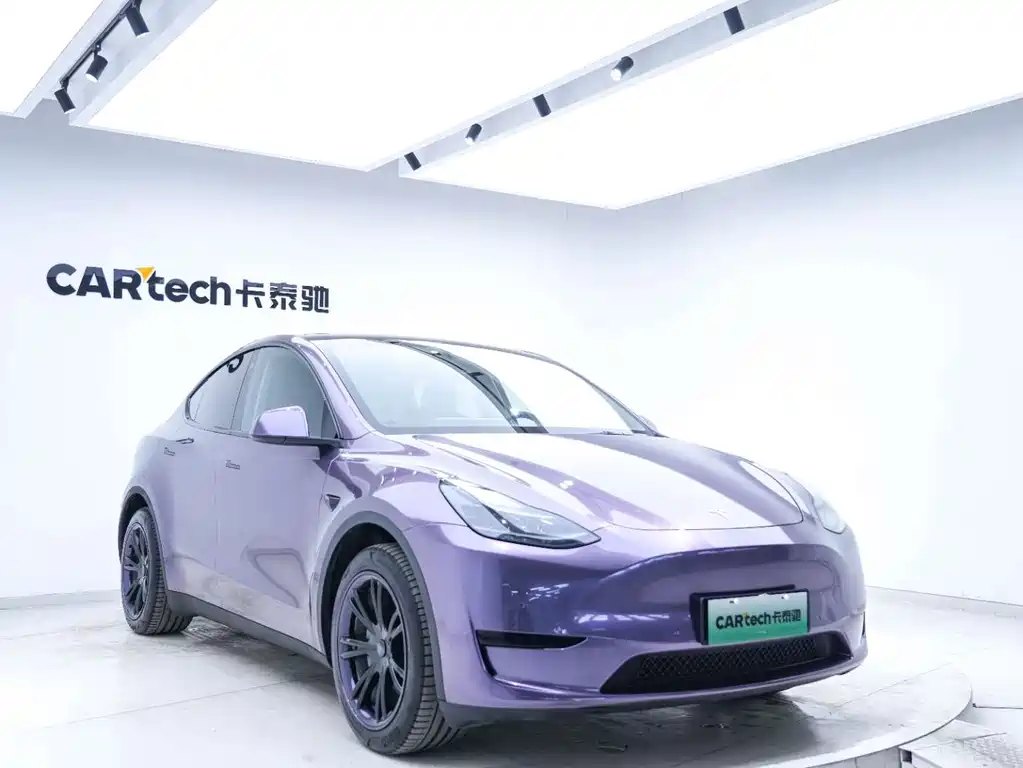 Tesla Model Y — миниатюра 5