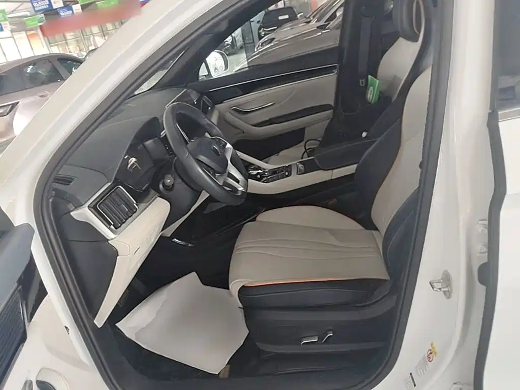 BYD PLUS New Energy — миниатюра 15