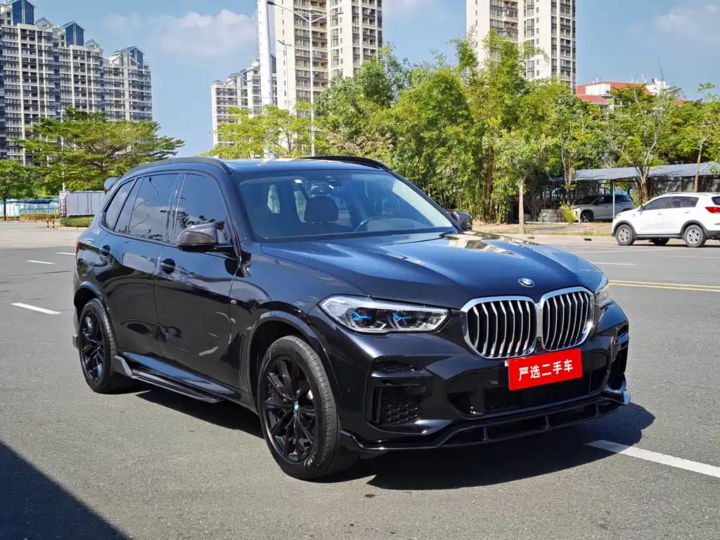 BMW X5 — миниатюра 2